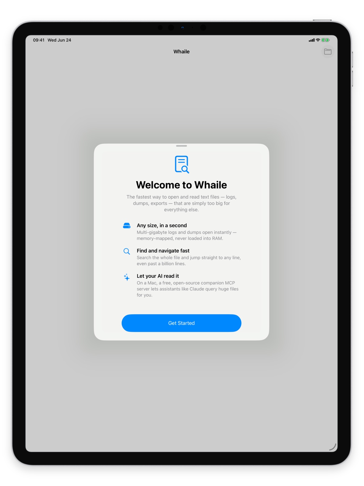 Whaile: Large File Log Viewer ipad screenshot 1