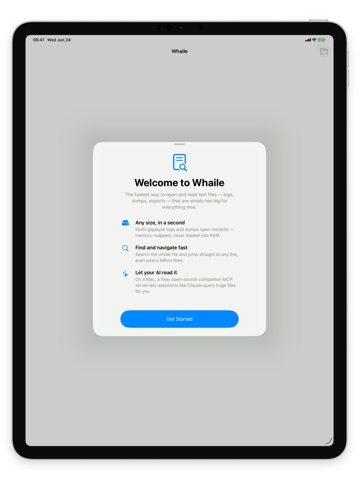 Whaile: Large File Log Viewer ipad screenshot 2