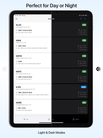 AviatorWx iPad screenshot