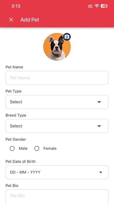 Blipets Screenshot