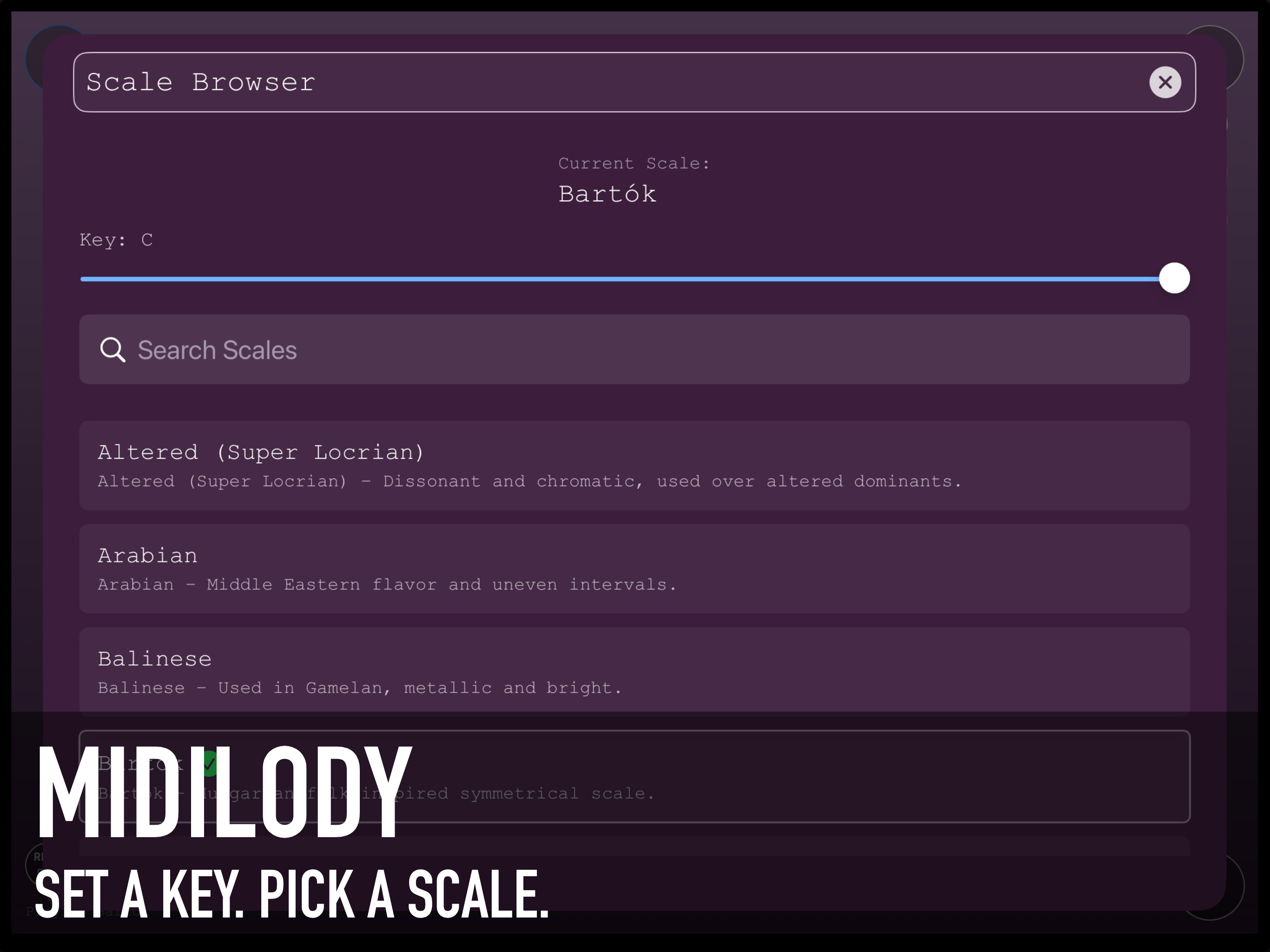 MIDILODY screenshot 6