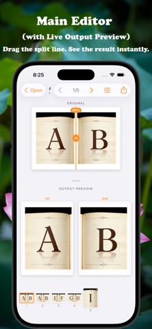 SpreadSplit for IOS screenshot