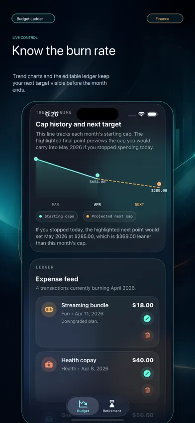Budget Ladder screenshot 3