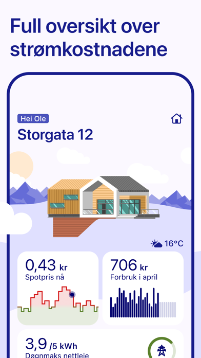 Vest-Telemark Kraftlag AS Screenshot