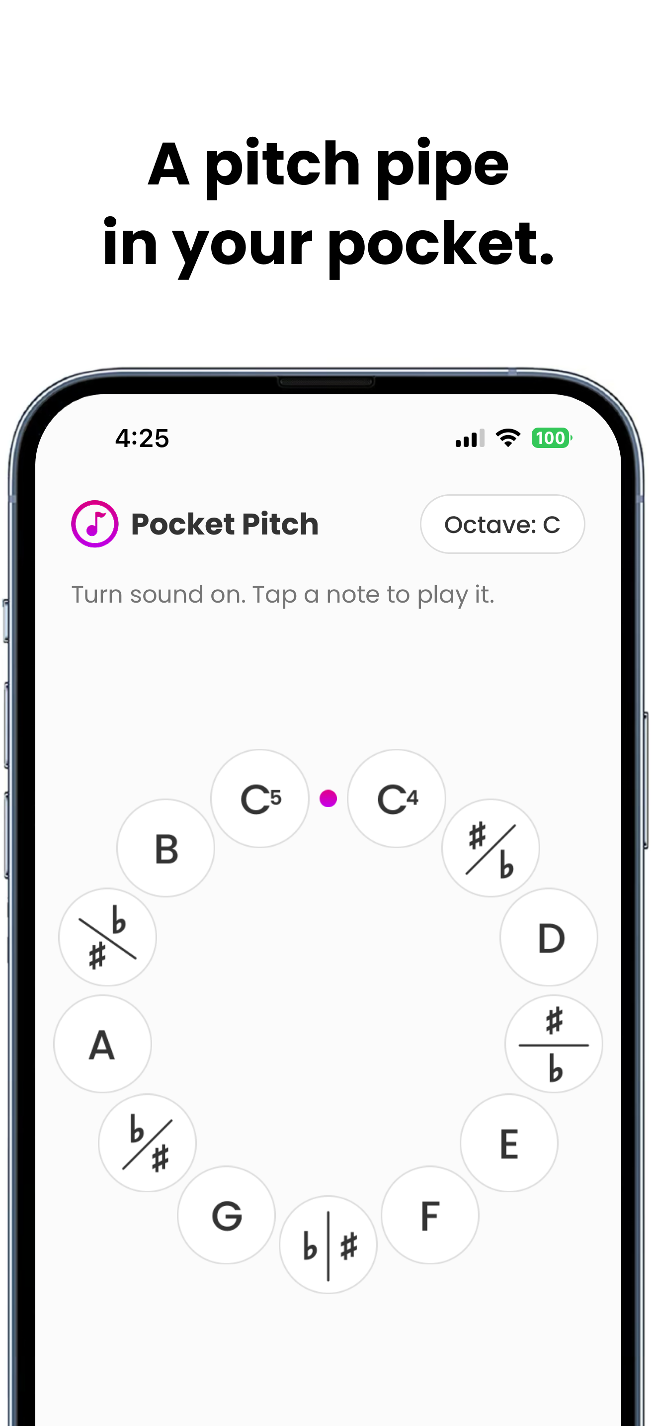 Pocket Pitch - The Singer App