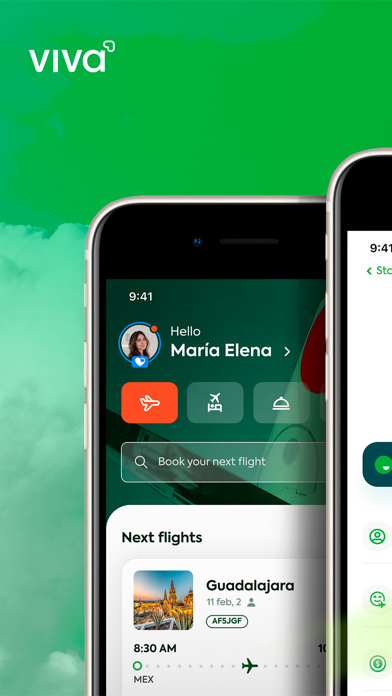 Viva Aerobus: Fly! Screenshot