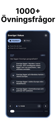 Sverige i fokus screenshot