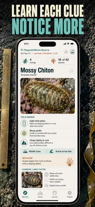 Tide Pool ID: Field Guide screenshot 7 of 10