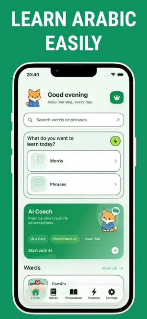 Speak Arabic: Phrases & Audio screenshot 1