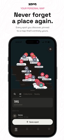 Sayvs screenshot