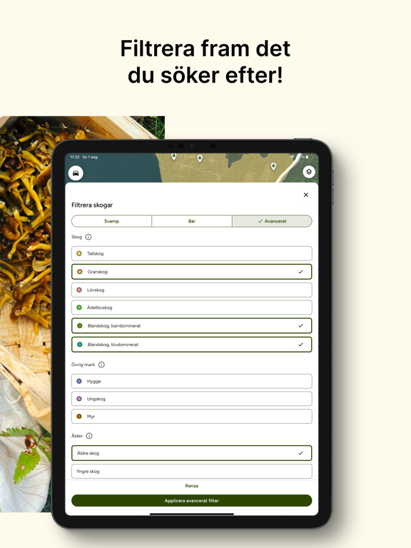 Screenshot #5 pour Hitta Skog: Svamp och Bär
