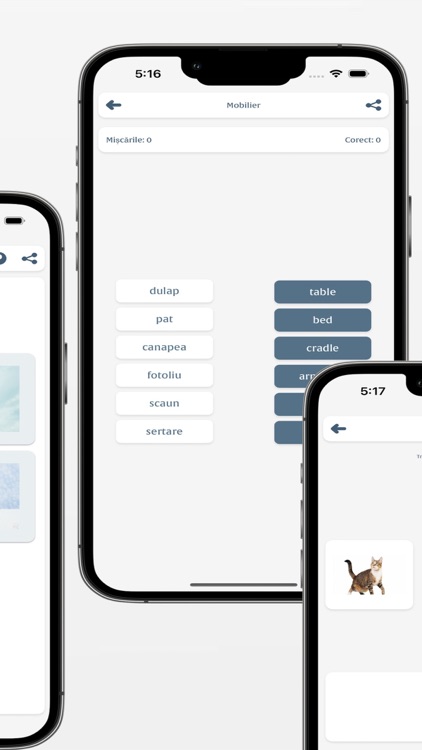 Învaţă Engleză screenshot-6