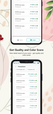Vegrow screenshot
