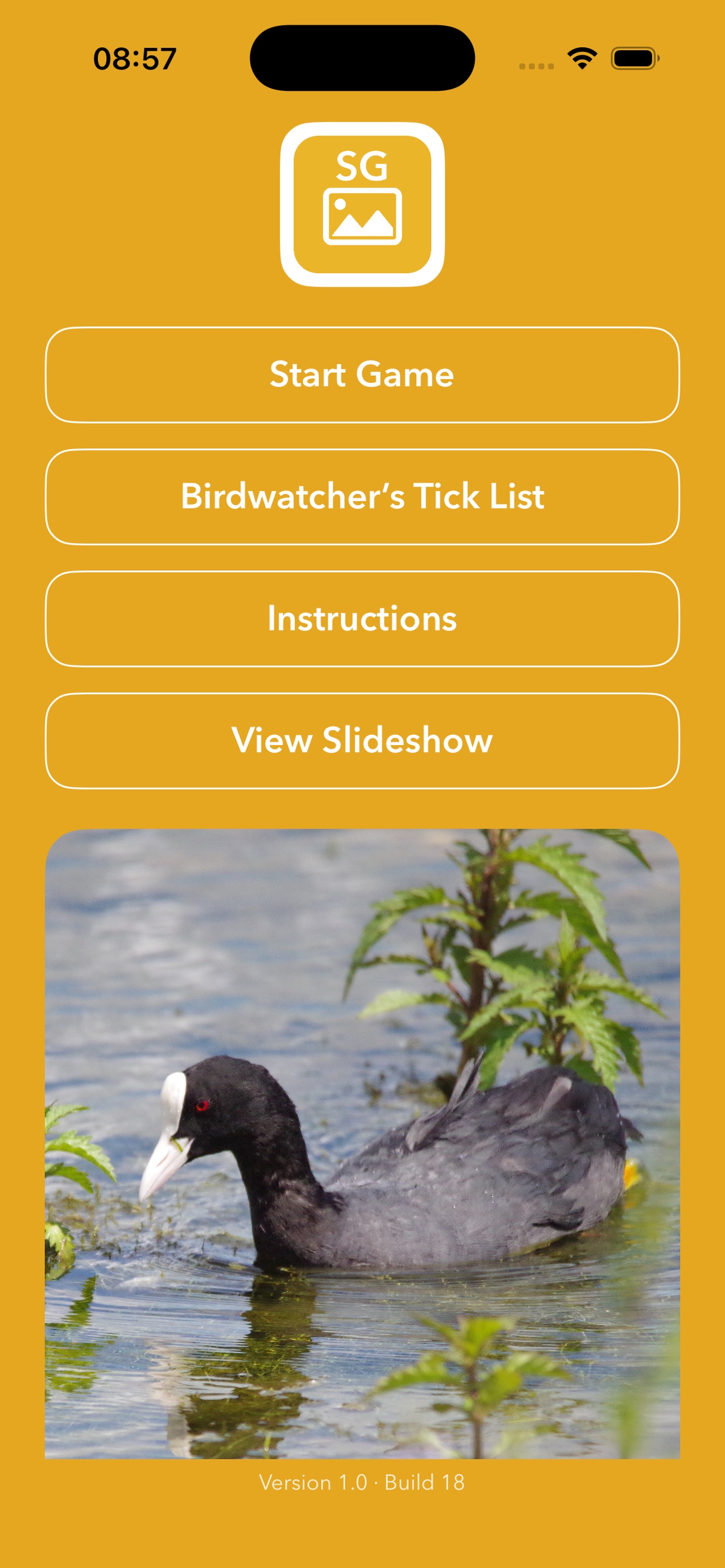 Screenshot 1 of Simple Games Bird Discovery