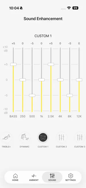 Technics Audio Connect screenshot 3
