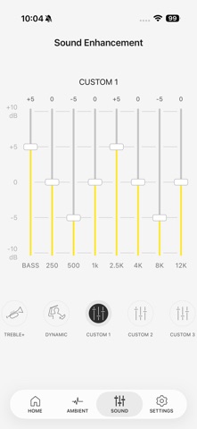 Technics Audio Connect Screenshot 3 of 4