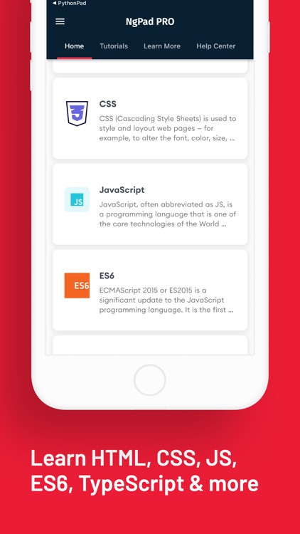 Learn to Code with Angular screenshot-3