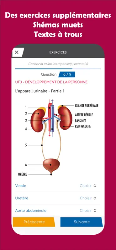 AES fiches/épreuves/QCM... screenshot 9 of 9