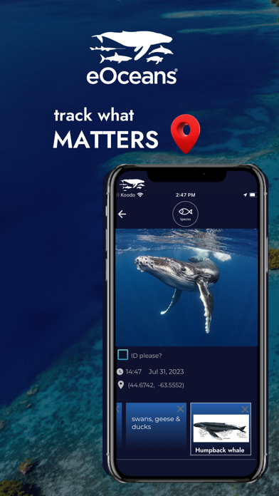 eOceans iPhone screenshot 1 - Utilities app
