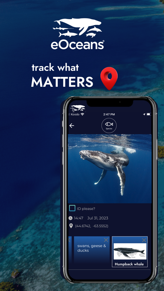 #1. eOceans (iOS) 由: eOceans Research and Consulting Inc.