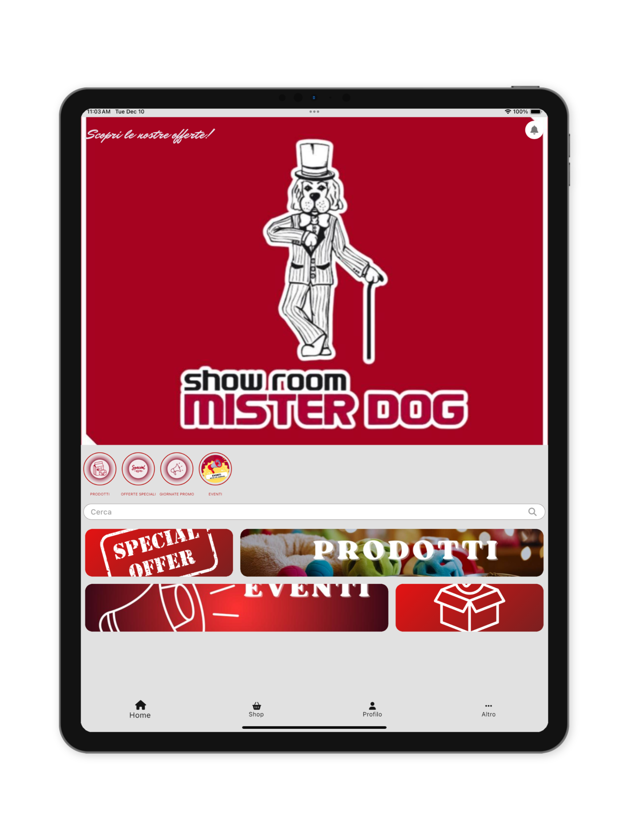 MISTERDOG SHOWROOM screenshot 4