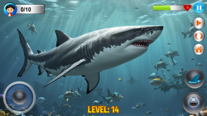 Angry Shark Simulator Games 3d Screenshot
