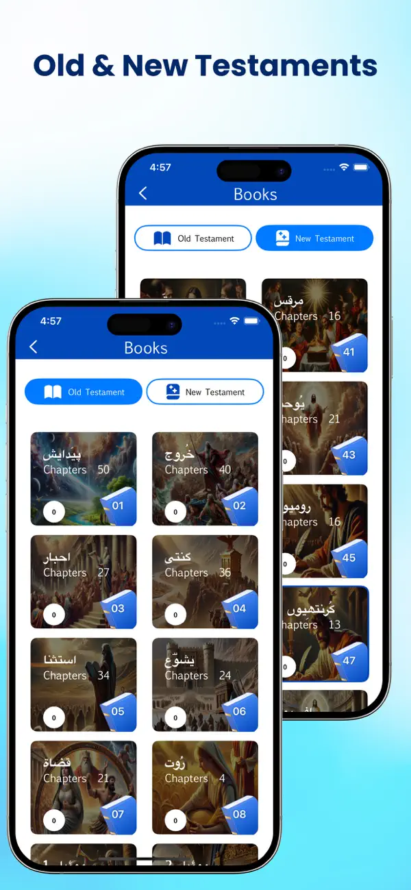 Screenshot #2 pour Urdu Bible.