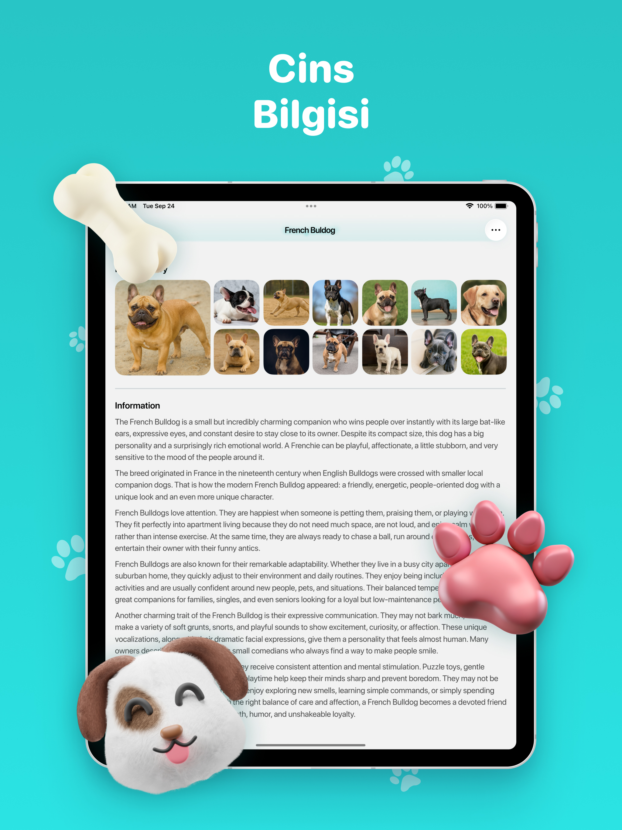 https://is1-ssl.mzstatic.com/image/thumb/PurpleSource211/v4/46/ea/f7/46eaf74f-cabc-8dfe-7dbd-4d20baa0c20f/tr-ipadPro129-3.jpg/2048x2732.png