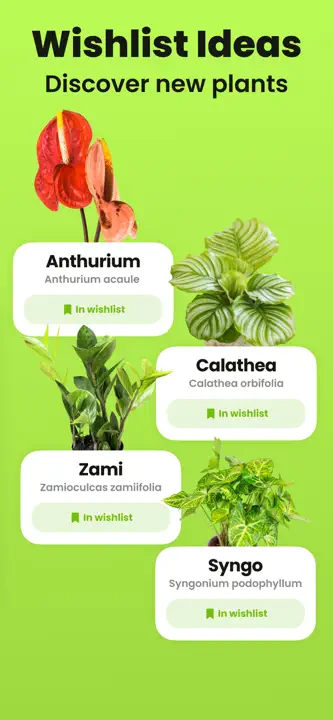 Plant Identifier & Care: Screenshot 8 von 8