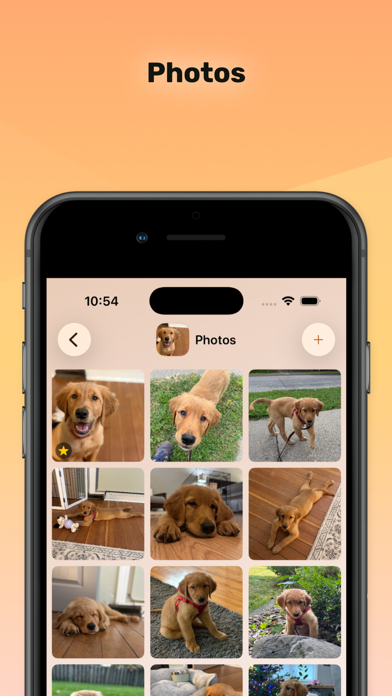 Screenshot #3 pour PetFetch - Organiseur Animal