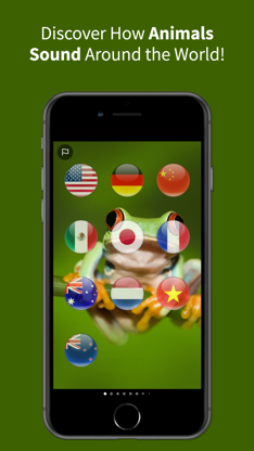 Animal Sounds Translator screenshot 1