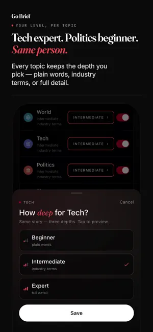 Go Brief: AI News Digest screenshot 3