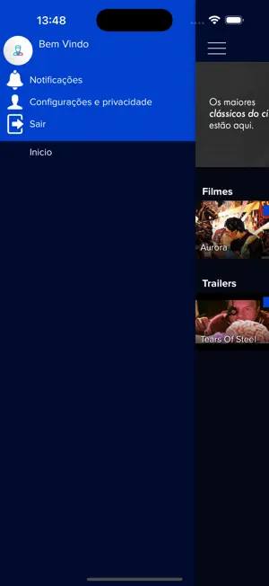 IPSEG TV screenshot 4
