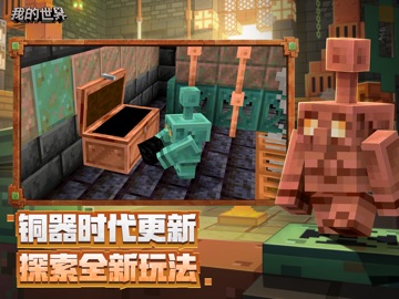 我的世界：移动版 iPad screenshot 4