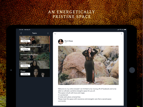 Screenshot #4 pour Perri Chase