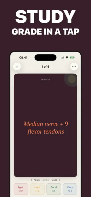 Pith: Study Flashcards screenshot 2
