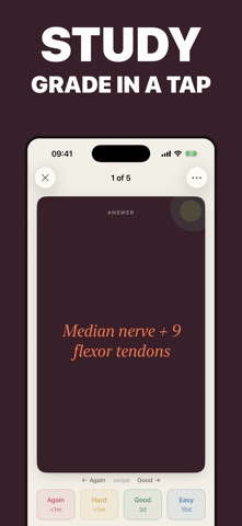 Pith: Study Flashcards Screenshot 2 of 5