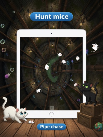 Cat Games for Cats: Bubble Pop iPad screenshot