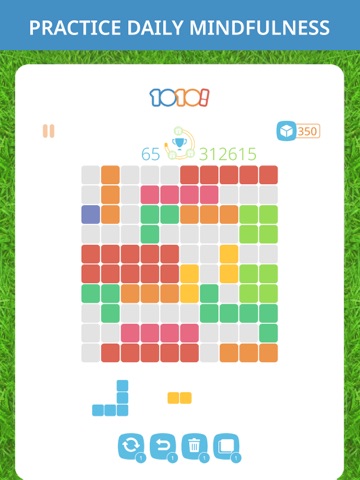 1010! Block Puzzle Game iPad screenshot