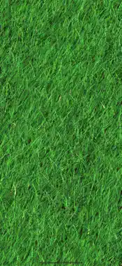 Grass screenshot 1