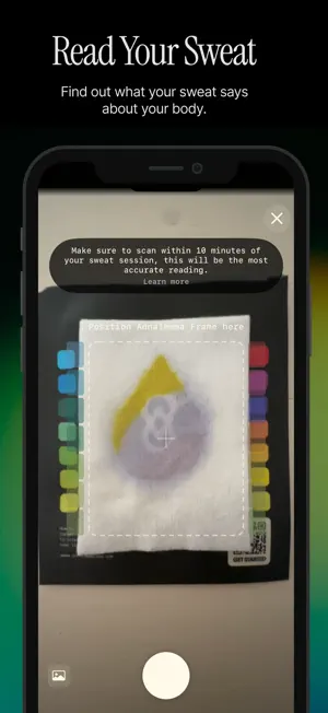 Annalemma screenshot 1