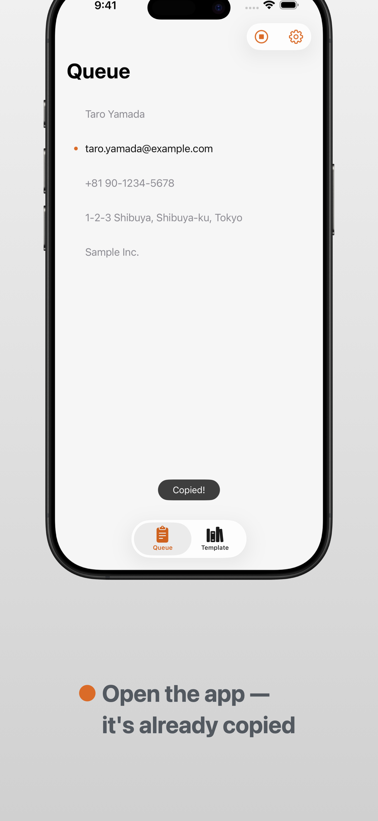 Queue: Copy & Paste screenshot 2