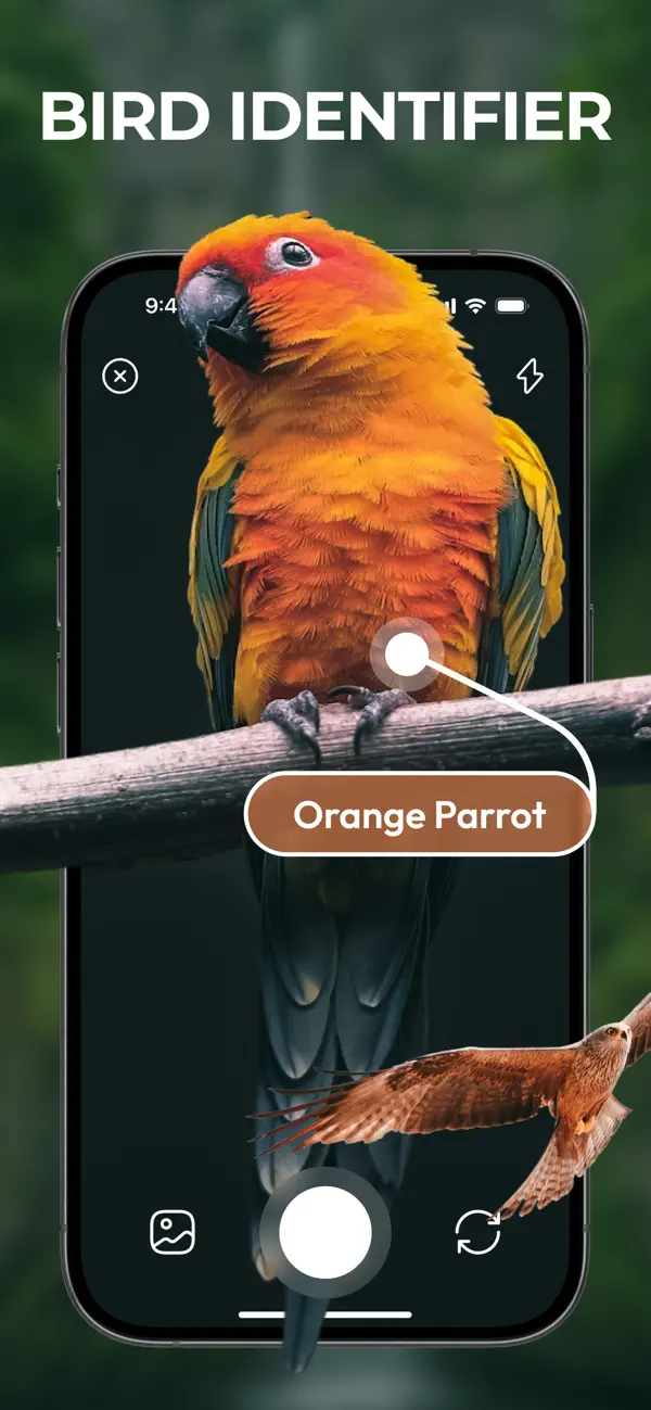 #1. Bird Identifier & Guide (iOS) Von: Turgay Saba