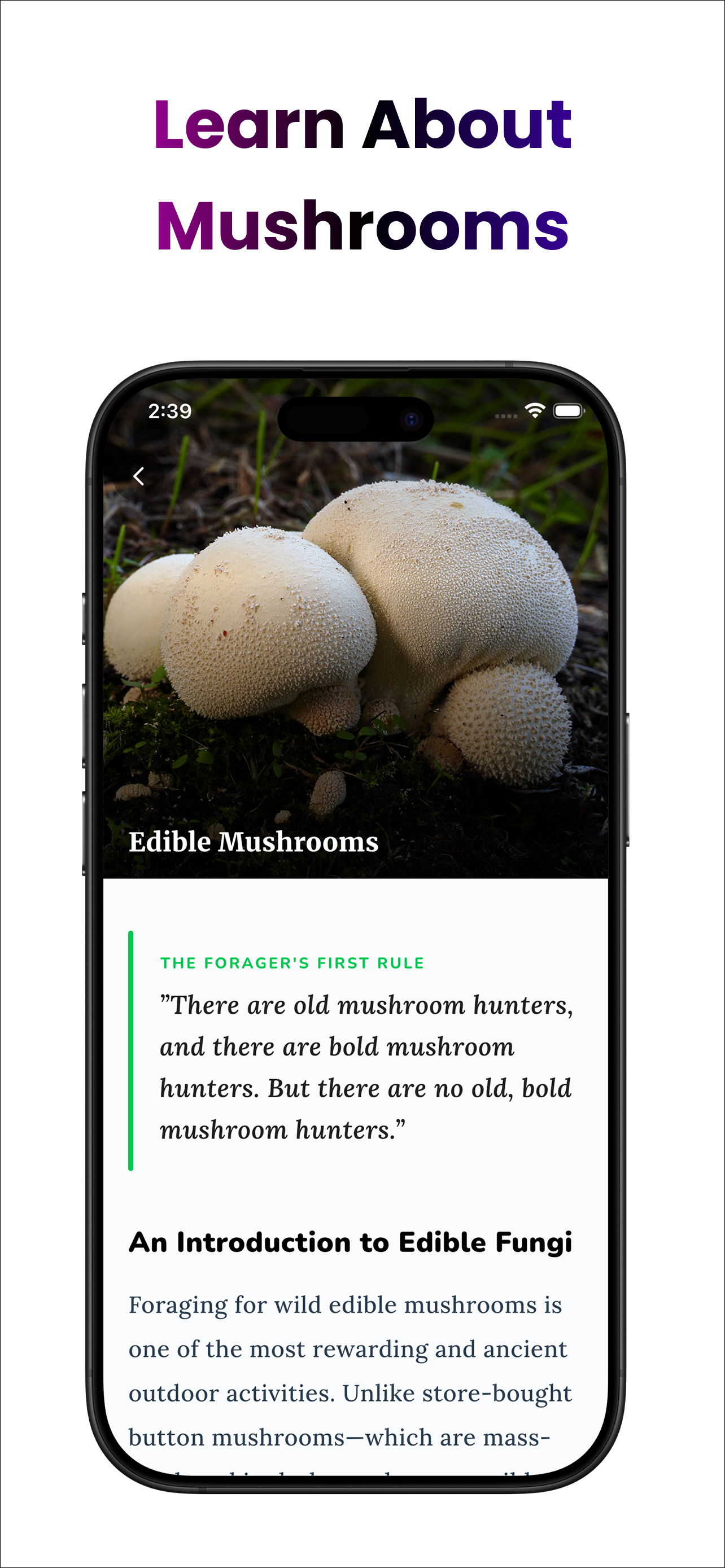 AI Mushroom Detectors