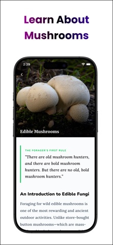 AI Mushroom Detectors screenshot
