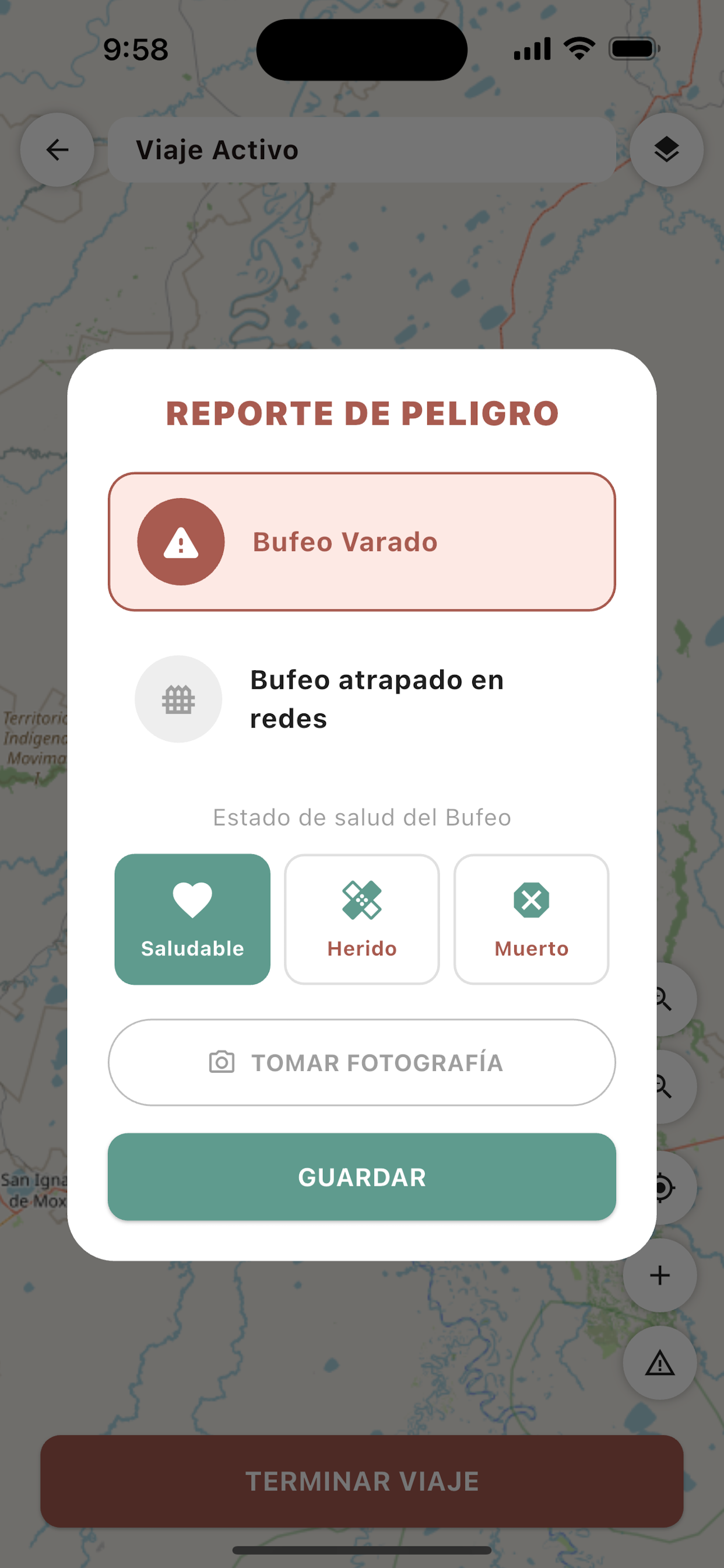 AppBufeo screenshot 4