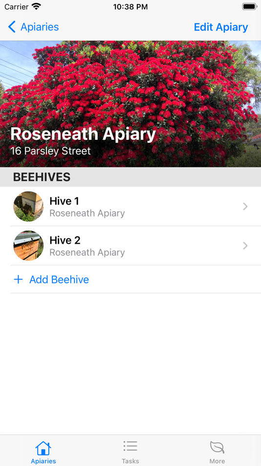 #2. Beekeepings (macOS) 由: Jordan Trbuhovic