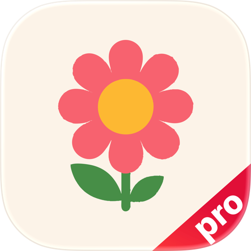 VPN - whale plus v2box ify