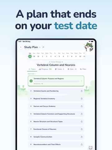 Meomo AI Flashcard & Exam Prep iPad screenshot
