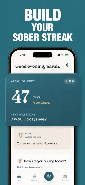 Claro: Quit Drinking Tracker screenshot 2